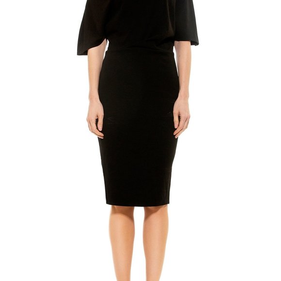 Alexi Admor Dresses & Skirts - Alexi Admor Olivia Draped Sheath Dress XL
